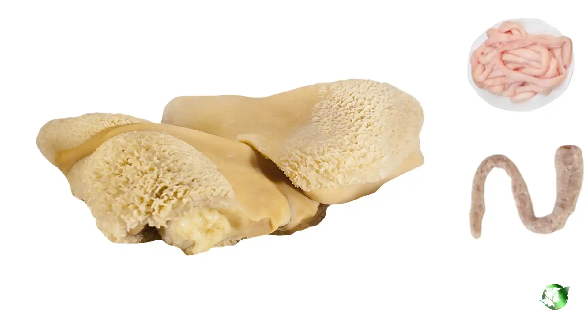Supply partner evaluation for Sheep Intestine should cover specification, packaging, supporting records, logistics, and true import cost.